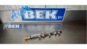Kraftstoffmengenteiler VW Polo V 6R, 6C 04C133320C