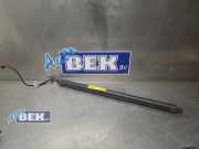 Heckklappendämpfer links Jaguar F-Pace X761 HK8370354AB