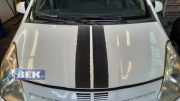 Motorhaube Nissan Pixo UA0