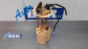 Kraftstoffpumpe Jaguar E-Pace X540 7540226AB