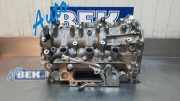 Zylinderkopf Nissan Juke F16 2830101300107