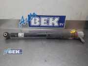 Stoßdämpfer rechts hinten Hyundai Kona I OS, OSE, OSI 55300J9300