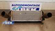 Ladeluftkühler Ford Transit Connect P*2 7T169L440AE