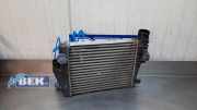 Ladeluftkühler Citroen Jumpy III Kasten V 9806562180