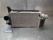 Ladeluftkühler Hyundai Tucson IV NX4A, NX4E 282702M400