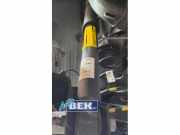 Stoßdämpfer links hinten Hyundai i20 III BC3, BI3 55307Q0AA0