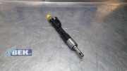 Einspritzdüse BMW X3 F25 13647639994