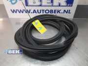 Türgummi rechts hinten Audi Q5 8R 80A833721