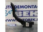 Fahrpedal Citroen C4 II B7 9671840280