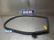 Türgummi links hinten Porsche Taycan Y1A 9J1833721AL2