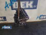 Motor ohne Anbauteile (Benzin) VW Passat B7 Variant 365 03L021CA