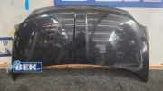 Motorhaube Fiat 500 312 0052009424