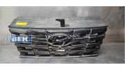 Kühlergrill Hyundai Tucson IV NX4A, NX4E 86351N7110