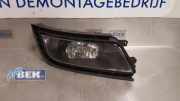 Nebelscheinwerfer links vorne Skoda Superb III Kombi 3V 3T0941699C