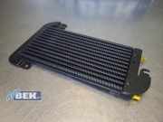 Kraftstoffkühler Nissan Primastar Kasten X82 175104049R