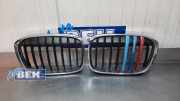Kühlergrill BMW X1 F48