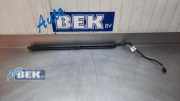 Heckklappendämpfer links Land Rover Range Rover IV L405 CPLA70354AG