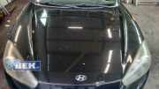 Motorhaube Hyundai Coupe GK 664002C720