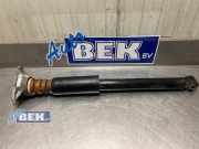 Federbein rechts hinten BMW X1 F48 14941510