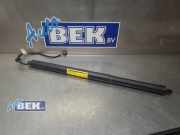 Heckklappendämpfer rechts Jaguar F-Pace X761 HK8370354AB