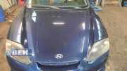 Motorhaube Hyundai Coupe GK 664002C720