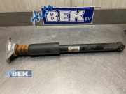 Federbein rechts hinten BMW X1 F48 14941510