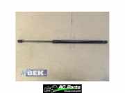 Heckklappendämpfer links VW Passat B8 Alltrack 3G 3G9827550A