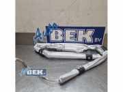 Airbag Dach links Peugeot 208 I CA, CC 9804092380
