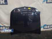 Motorhaube BMW 3er Touring E91