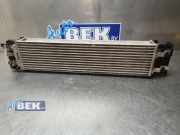 Ladeluftkühler Volvo XC40 536 P31686408