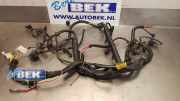 Kabelbaum Renault Modus - Grand Modus P 8200220641