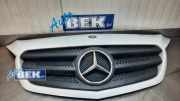 Kühlergrill Mercedes-Benz Citan Kasten W415 A4158880023