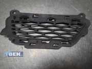 Kühlergrill Land Rover Range Rover Evoque I L538 GJ3215A299D