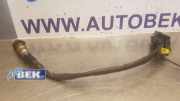 Lambdasonde Cadillac SRX 1 0258007206