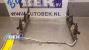 Abstellvorrichtung für Einspritzanlage Audi A6 Avant 4F, C6 06E133551