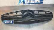 Kühlergrill Mercedes-Benz C-Klasse W204 20488000239744
