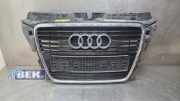 Kühlergrill Audi A3 Sportback 8P 8P0853651MT94
