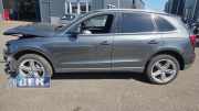 Frontscheibe Audi Q5 8R 8R0845099NNVB
