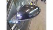 Außenspiegel links Renault Megane IV Grandtour K9A 262234210B