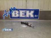 Einspritzdüse Peugeot 208 II UB, UP, UW, UJ 9822715980