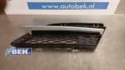 Lüftungsgitter für Stoßfänger BMW 3er E90 51117198001
