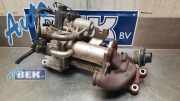AGR-Ventil Renault Clio III BR0/1, CR0/1 700368