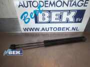 Gasdruckfeder Kia Venga YN 817801P000