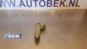 Einspritzdüse Citroen C1 2325000010