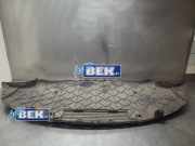 Unterbodenschutz Tesla Model Y 5YJY 113781900A