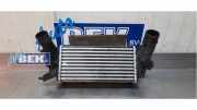 Ladeluftkühler Ford Fiesta VII HJ, HF H1BG6K775AC