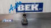 AGR-Ventil BMW X5 G05, F95 18224AC0652