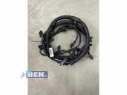 Kabelbaum Audi Q3 8U 8U0971104C
