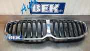 Kühlergrill BMW 1er F40 7076895