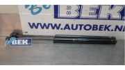 Gasdruckfeder Kia Sportage 3 SL 817803W000